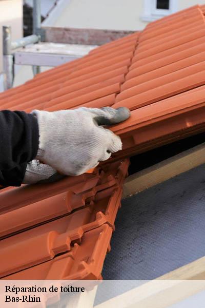 Réparation de toiture 67 Bas-Rhin  Marchal Joseph