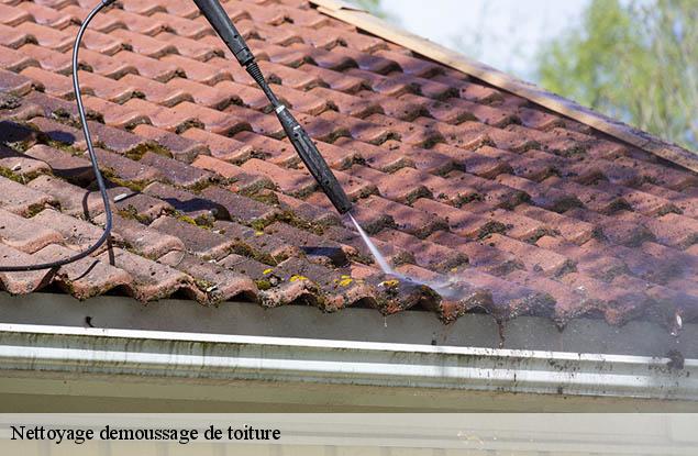 Nettoyage demoussage de toiture  albe-67220 Entreprise WINTERSTEIN  Alsace - vosges