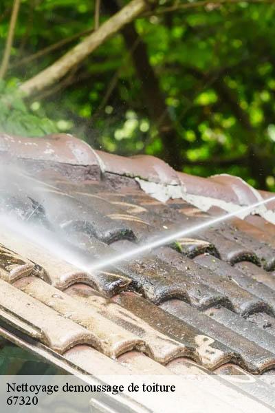 Nettoyage demoussage de toiture  asswiller-67320 Entreprise WINTERSTEIN  Alsace - vosges