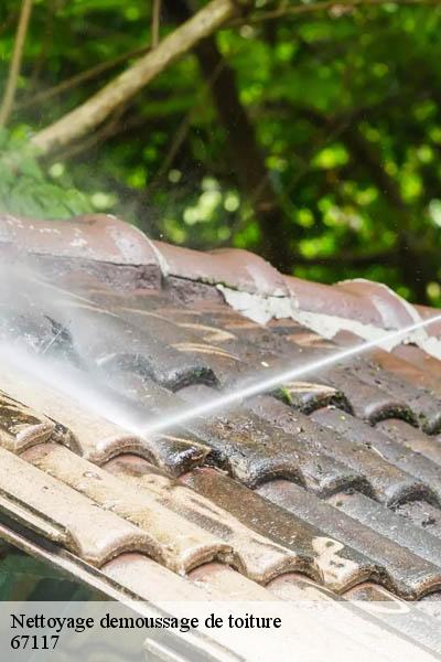 Nettoyage demoussage de toiture  furdenheim-67117 Entreprise WINTERSTEIN  Alsace - vosges