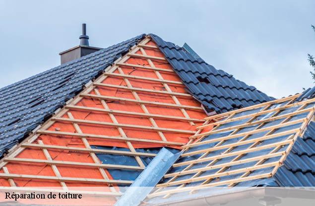 Réparation de toiture  albe-67220 Entreprise WINTERSTEIN  Alsace - vosges