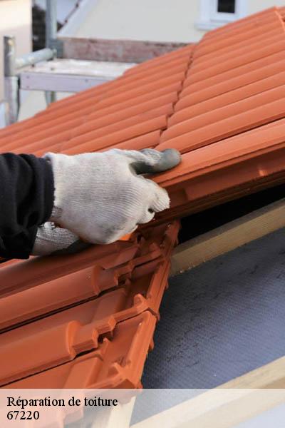 Réparation de toiture  albe-67220 Entreprise WINTERSTEIN  Alsace - vosges